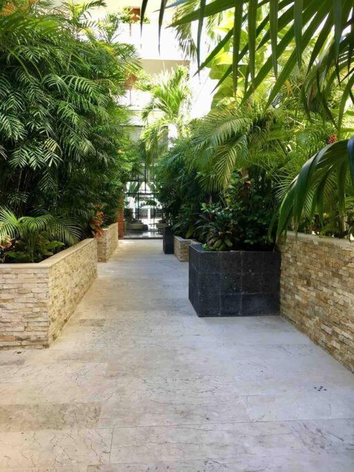 Your Exclusive Studio In The City - Top Amenities & Services For Free!! Playa del Carmen Bagian luar foto