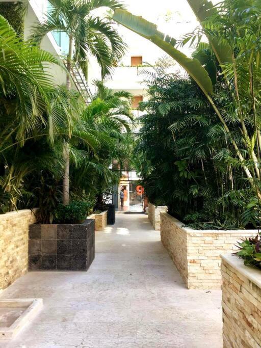 Your Exclusive Studio In The City - Top Amenities & Services For Free!! Playa del Carmen Bagian luar foto