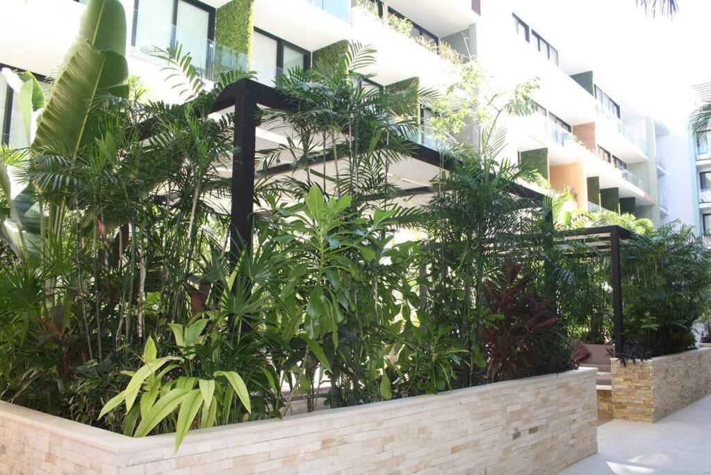 Your Exclusive Studio In The City - Top Amenities & Services For Free!! Playa del Carmen Bagian luar foto